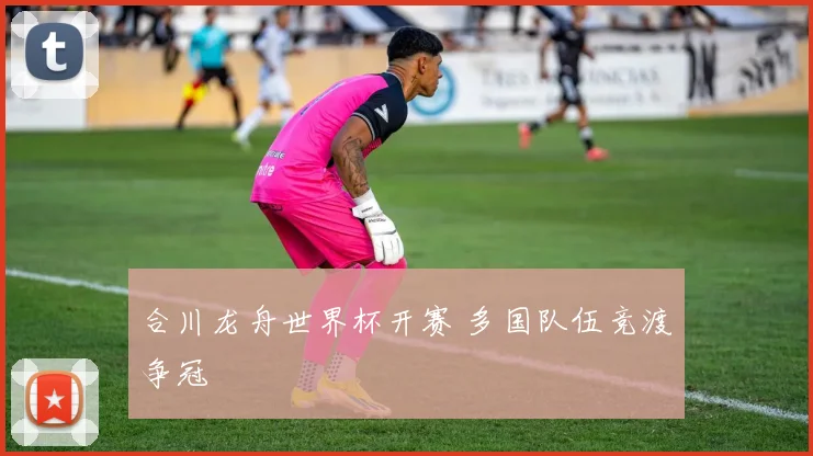 合川龙舟世界杯开赛 多国队伍竞渡争冠